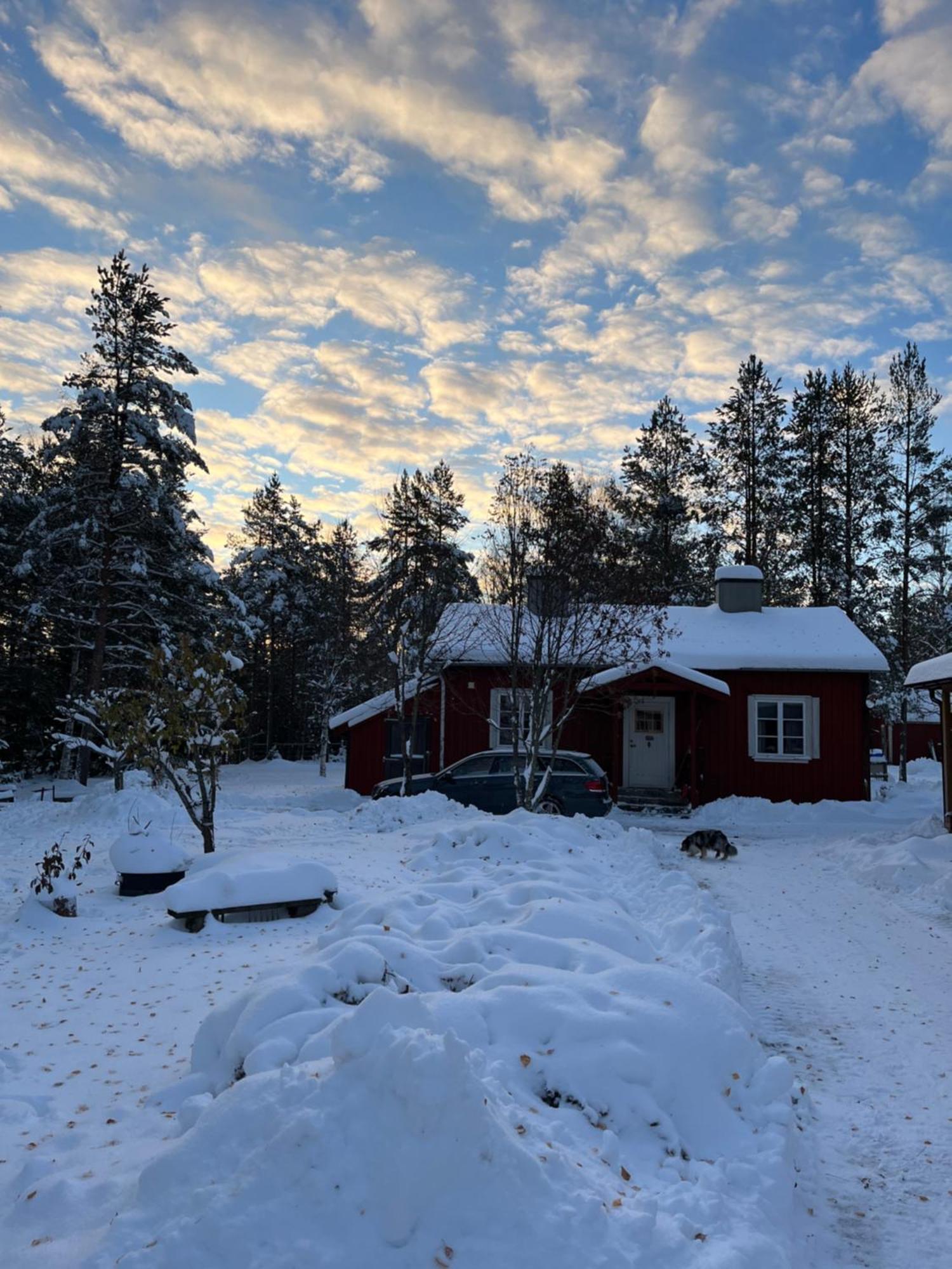 Nya Skogsgarden Hostel Mårbacken Buitenkant foto