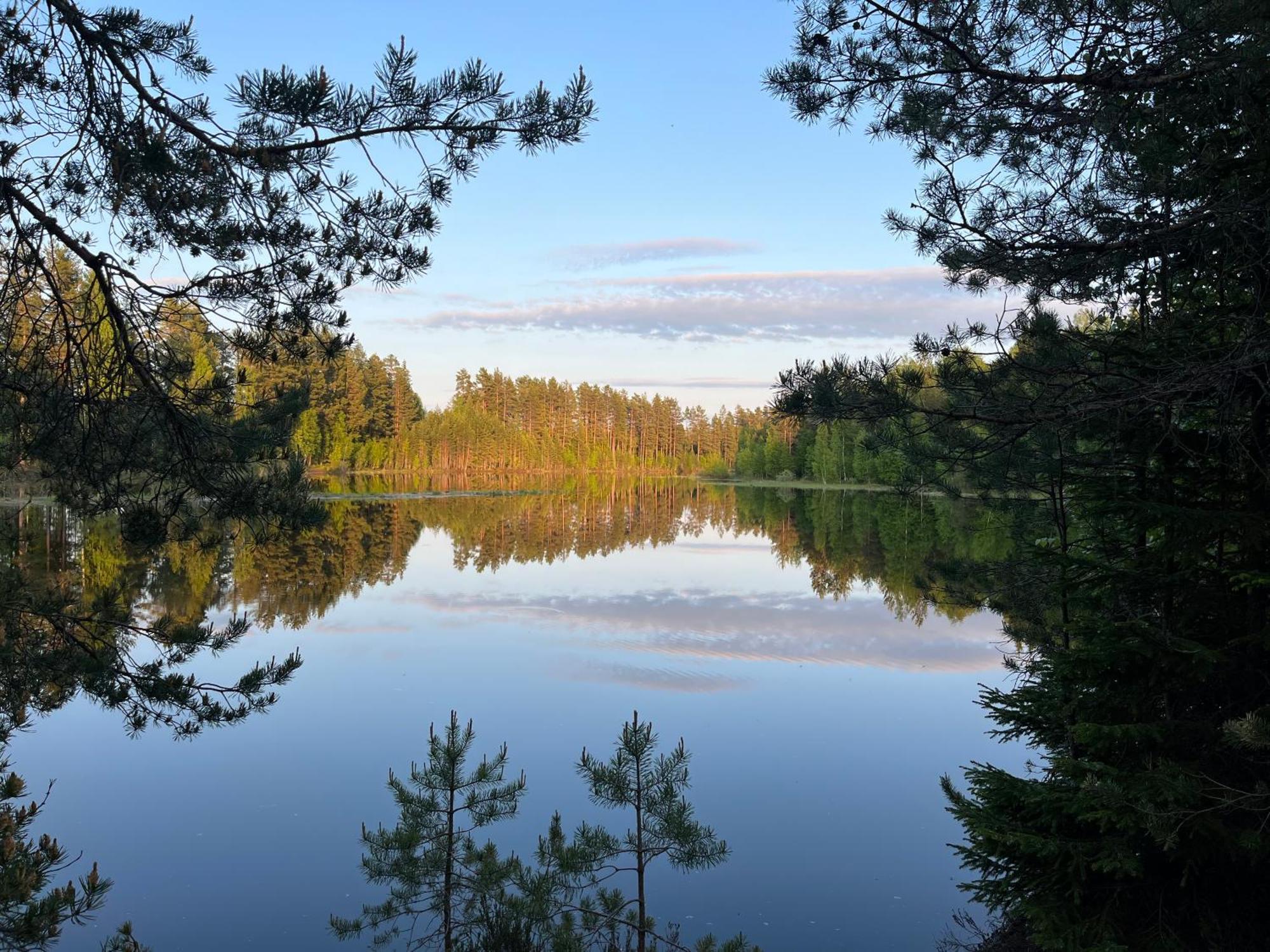 Nya Skogsgarden Hostel Mårbacken Buitenkant foto