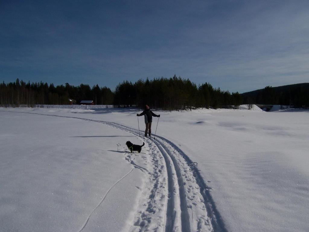 Nya Skogsgarden Hostel Mårbacken Buitenkant foto